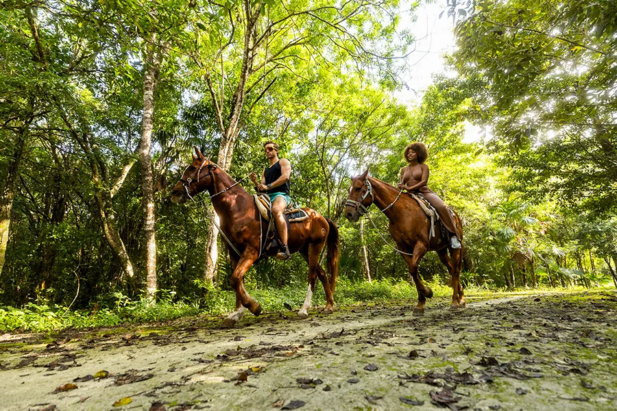 Atividade emExtreme Horseback Riding