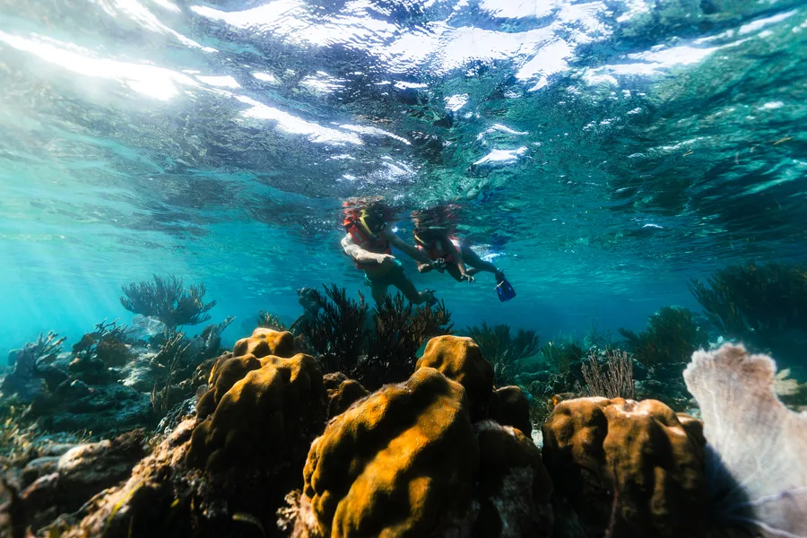 Atividade emSnorkeling Adventure