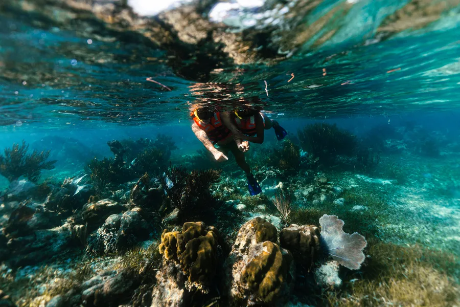 Atividade emSnorkeling Adventure