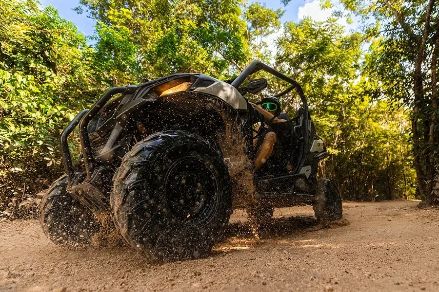 Activity onExtreme Buggy Adventure with Ziplines & Cenote