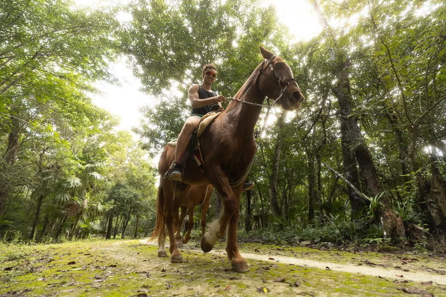 Atividade emExtreme Horseback Riding