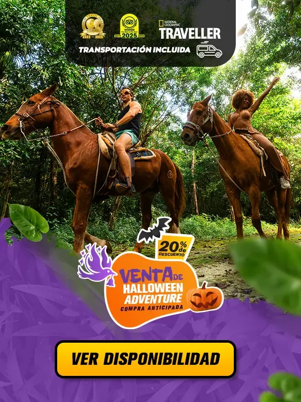 paseo en caballo en puerto morelos