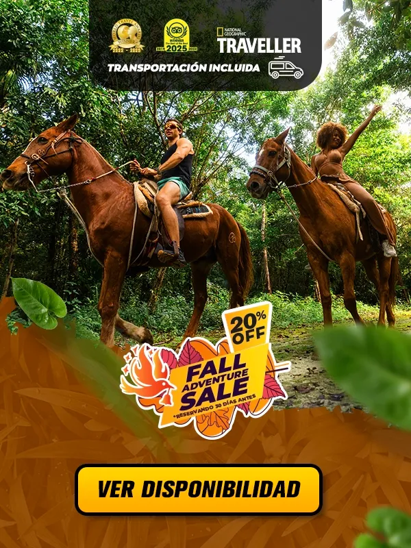 paseo en caballo en puerto morelos