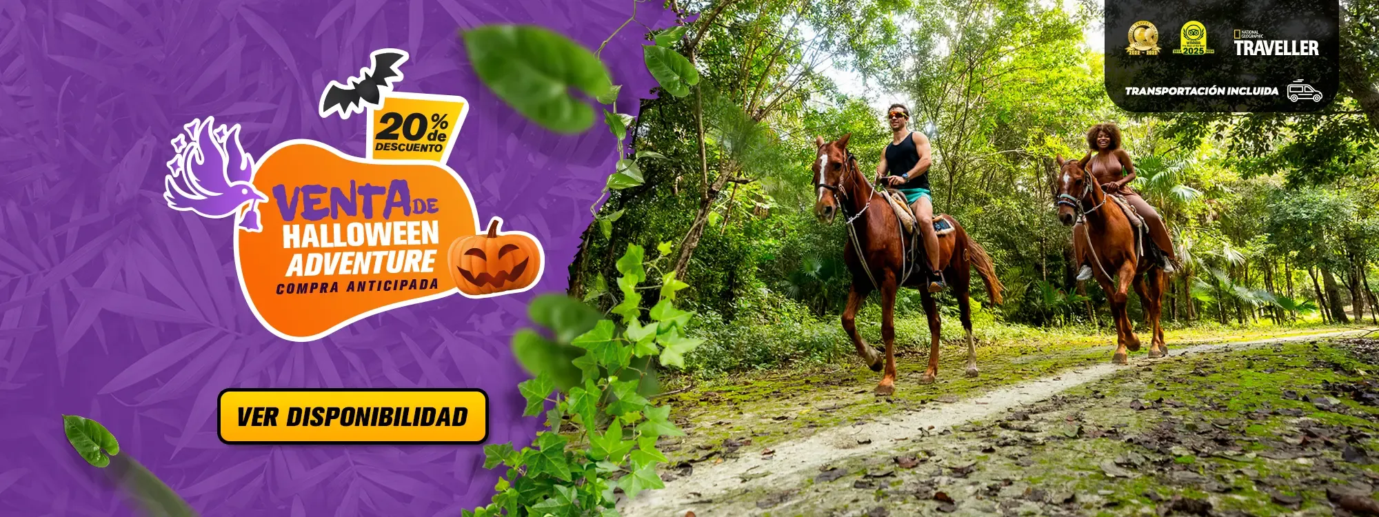 paseo en caballo en puerto morelos