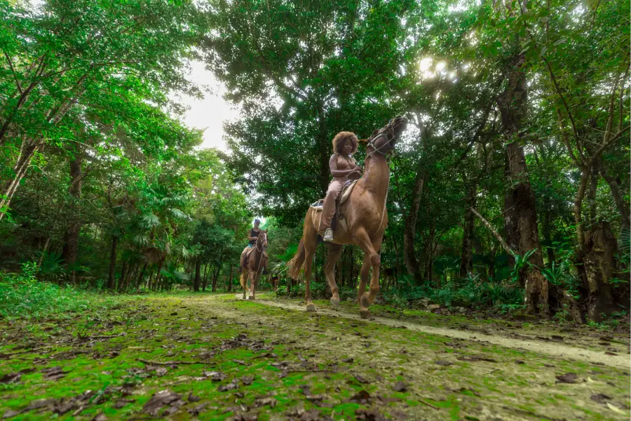 Atividade emExtreme Horseback Riding