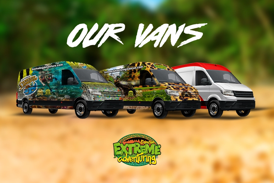 Activity onExtreme Adventuring + Snorkeling Adventure Package