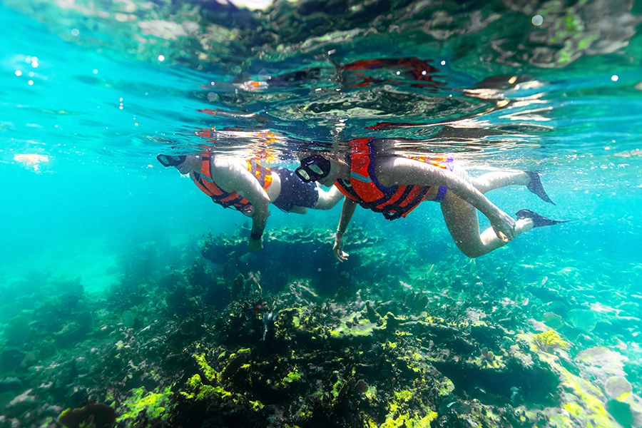 Activity onPrivate Snorkeling