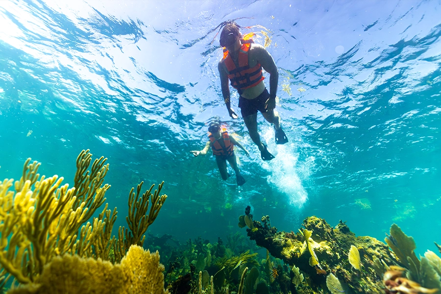 Activity onPrivate Snorkeling