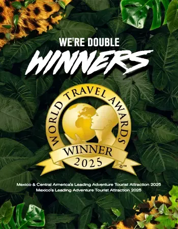 Extreme Adventuring Winners