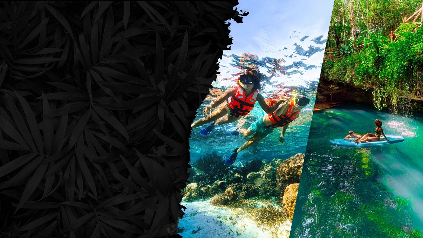 package snorkeling with cenotes adventure in cancun