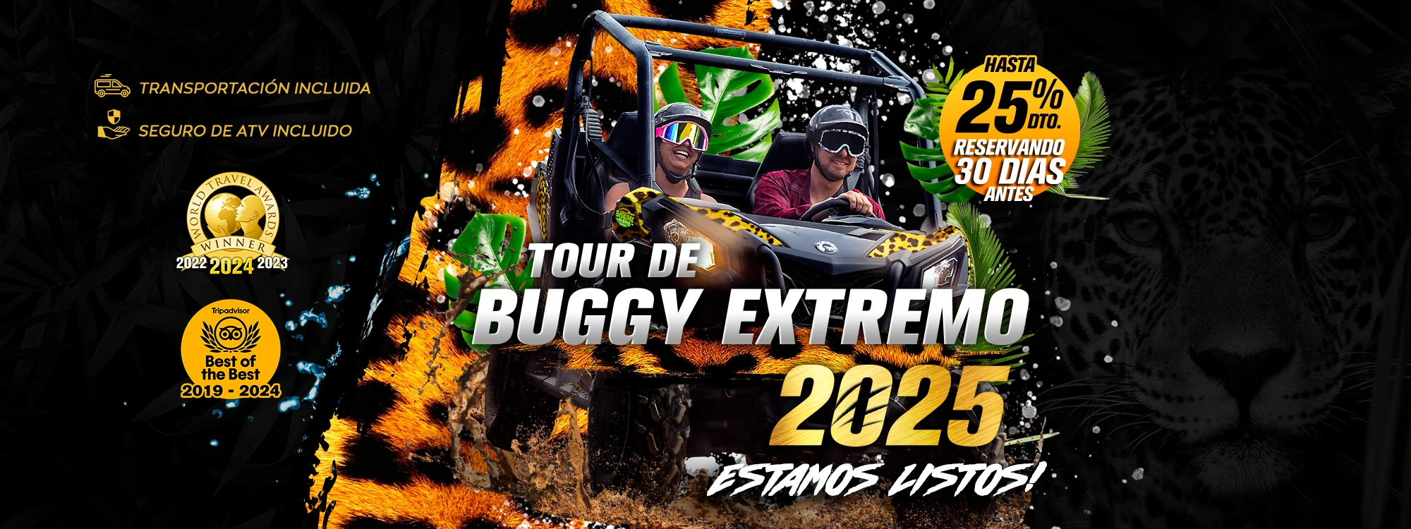 Extreme Buggy