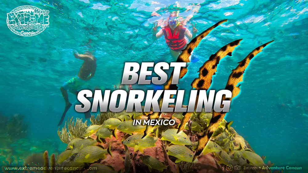 Best snorkeling in Mexico | Enter here and book with us. ☎️