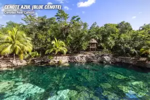 cenote-azul-blue-cenote-near-cancun