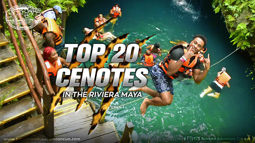 top-20-stunning-cenotes-riviera-maya