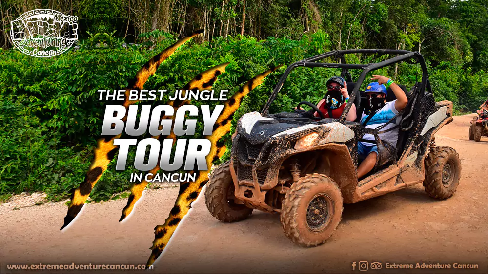 the-best-jungle-buggy-tours-in-cancun