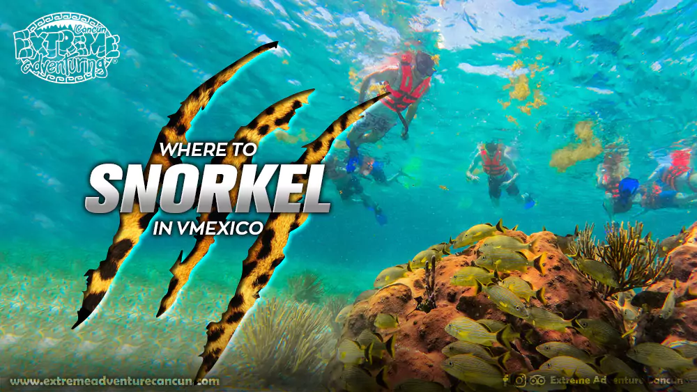 where-to-snorkel-in-mexico