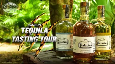 cancun-tequila-tasting-tour