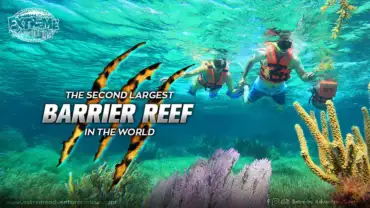 the-second-largest-barrier-reef-in-the-world