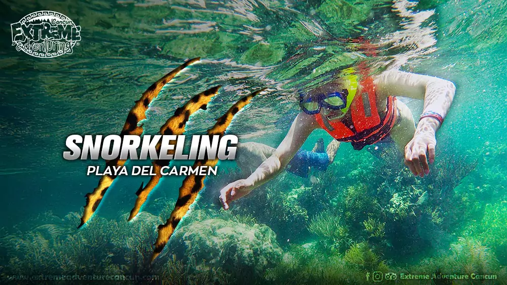 snorkeling-playa-del-carmen