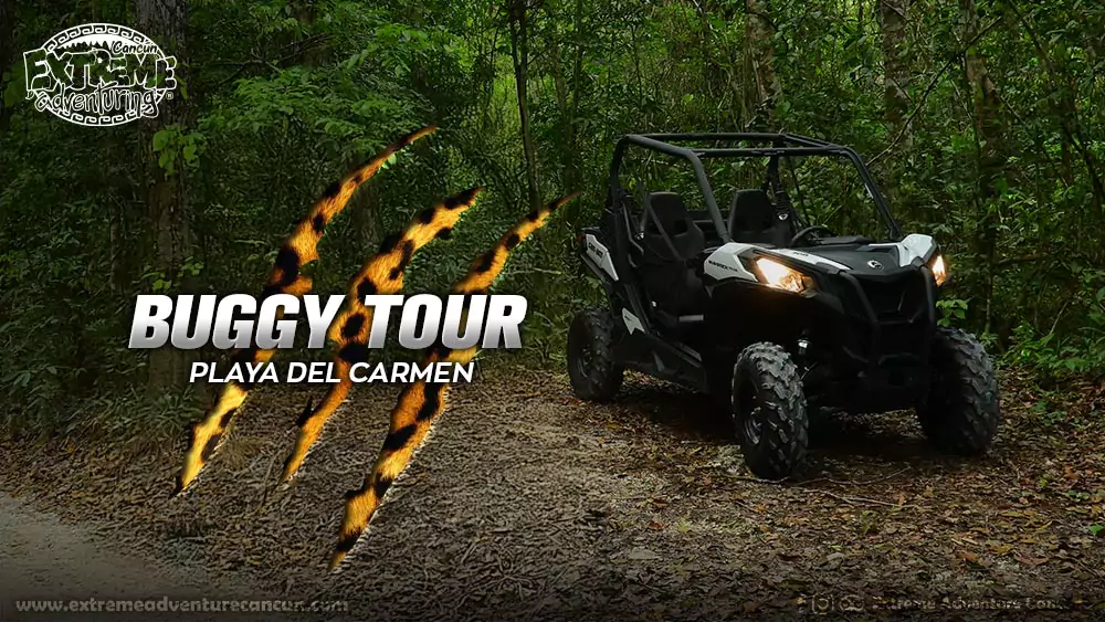 buggy-tour-playa-del-carmen