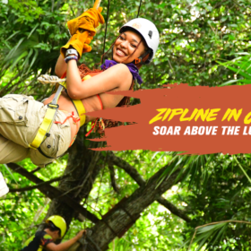 Zipline in Cancun: Soar Above the Lush Jungle