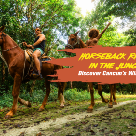 Horseback Riding in the Jungle: Discover Cancun’s Wild Side