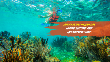 Snorkeling in Cancun: Where Nature and Adventure Meet