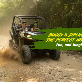 Buggy & Zipline Cancun: The Perfect Mix of Speed, Fun, and Jungle Views”