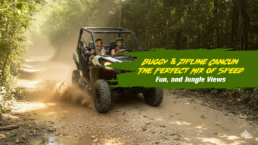 Buggy & Zipline Cancun: The Perfect Mix of Speed, Fun, and Jungle Views”